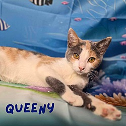 Thumbnail photo of Queeny #1