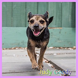 Thumbnail photo of Judy Goody #2