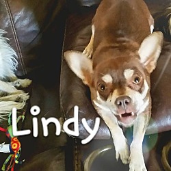 Thumbnail photo of Lindy #2