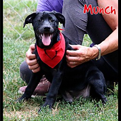 Thumbnail photo of Munch #4