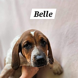 Thumbnail photo of Belle Bir #2