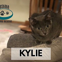 Thumbnail photo of Kylie #3