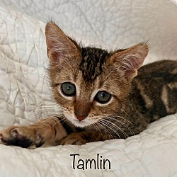 Thumbnail photo of Tamlin ("Tam") #2