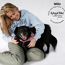Thumbnail photo of Adorable Lucky-VIDEO #3