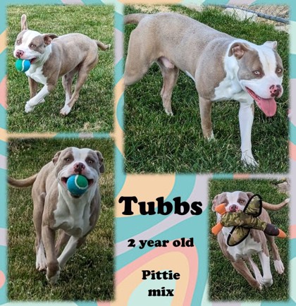 Thumbnail photo of Tubbs #2