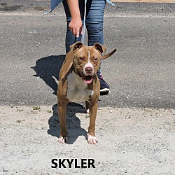 Thumbnail photo of Skyler #2