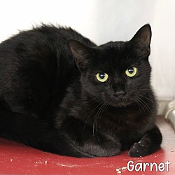 Thumbnail photo of Garnet #1