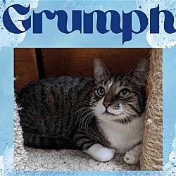 Photo of Grumph