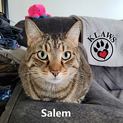 Thumbnail photo of Salem #3