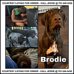 Thumbnail photo of Brodie - COURTESY LISTING #1