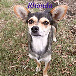 Thumbnail photo of Rhonda #1