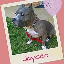 Photo of Jaycee