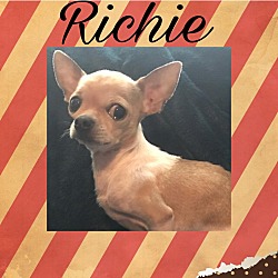 Thumbnail photo of Richie #2