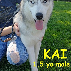 Photo of KAI