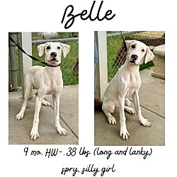 Thumbnail photo of Belle #1