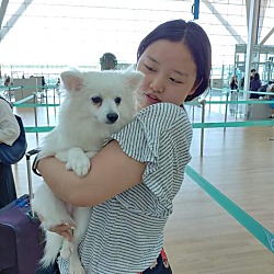 Thumbnail photo of Hyeri-7 lbs-adoption pending #1