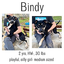 Photo of Bindy