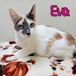 Thumbnail photo of Eva #4