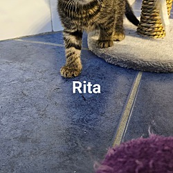 Thumbnail photo of Rita #4