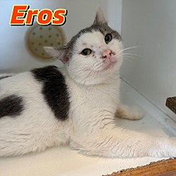 Photo of Eros