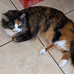 Photo of Rosie
