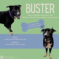 Thumbnail photo of Buster #1