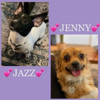 Photo of Jazz and Jenny