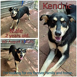 Photo of Kendric