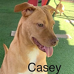 Photo of Casey