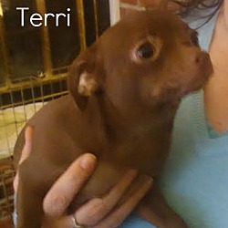 Thumbnail photo of Terri #1