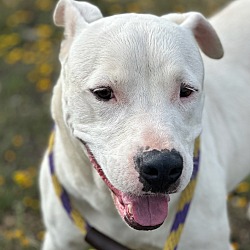 Photo of Rosa