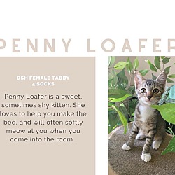 Thumbnail photo of Penny Loafer #2