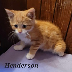Photo of Henderson