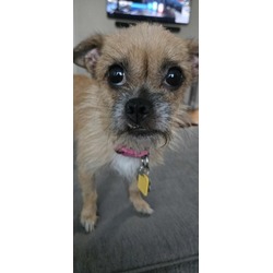 Thumbnail photo of Lily #1