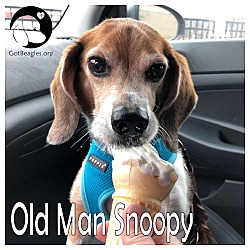 Photo of Old Man Snoopy