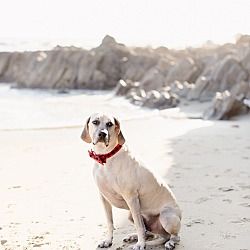Photo of Boone