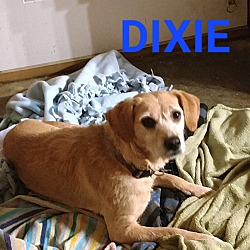 Photo of DIXIE