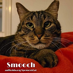 Photo of Smooch