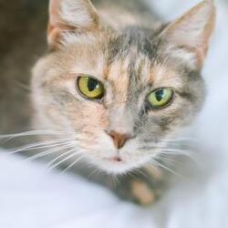 Photo of Trudi