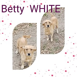 Photo of Betty White