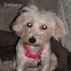 Thumbnail photo of Bethany (TN) #3