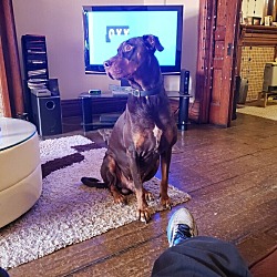 Photo of Bruno