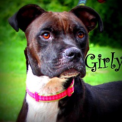 Thumbnail photo of Girly ~ meet me! #2