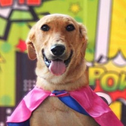 Photo of Daisy JuM