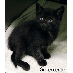 Thumbnail photo of Supercenter #2