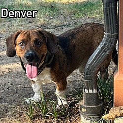 Photo of Denver