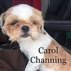 Photo of Carol Channing