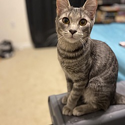 Photo of Nora