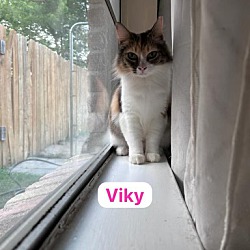 Thumbnail photo of Viky #1