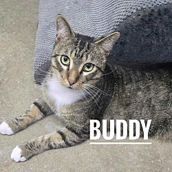 Thumbnail photo of Buddy #1